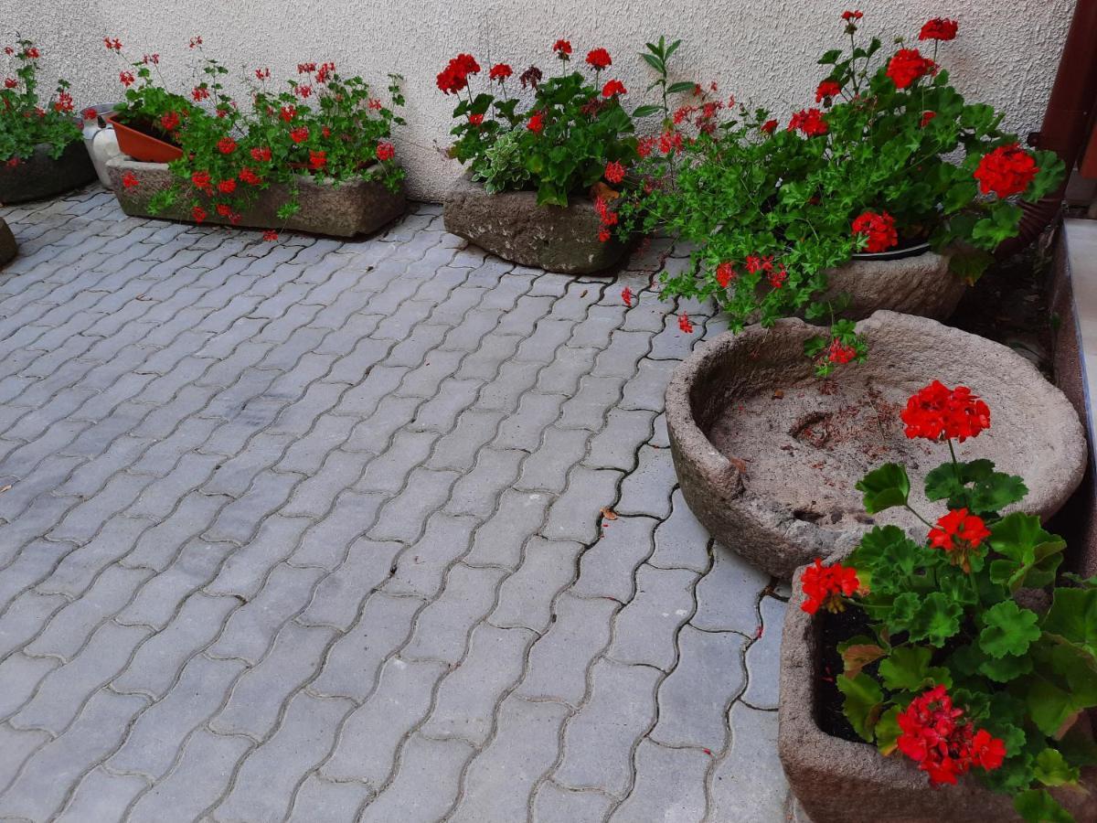 Korona Panzio Bed & Breakfast Odorheiu Secuiesc Exterior photo